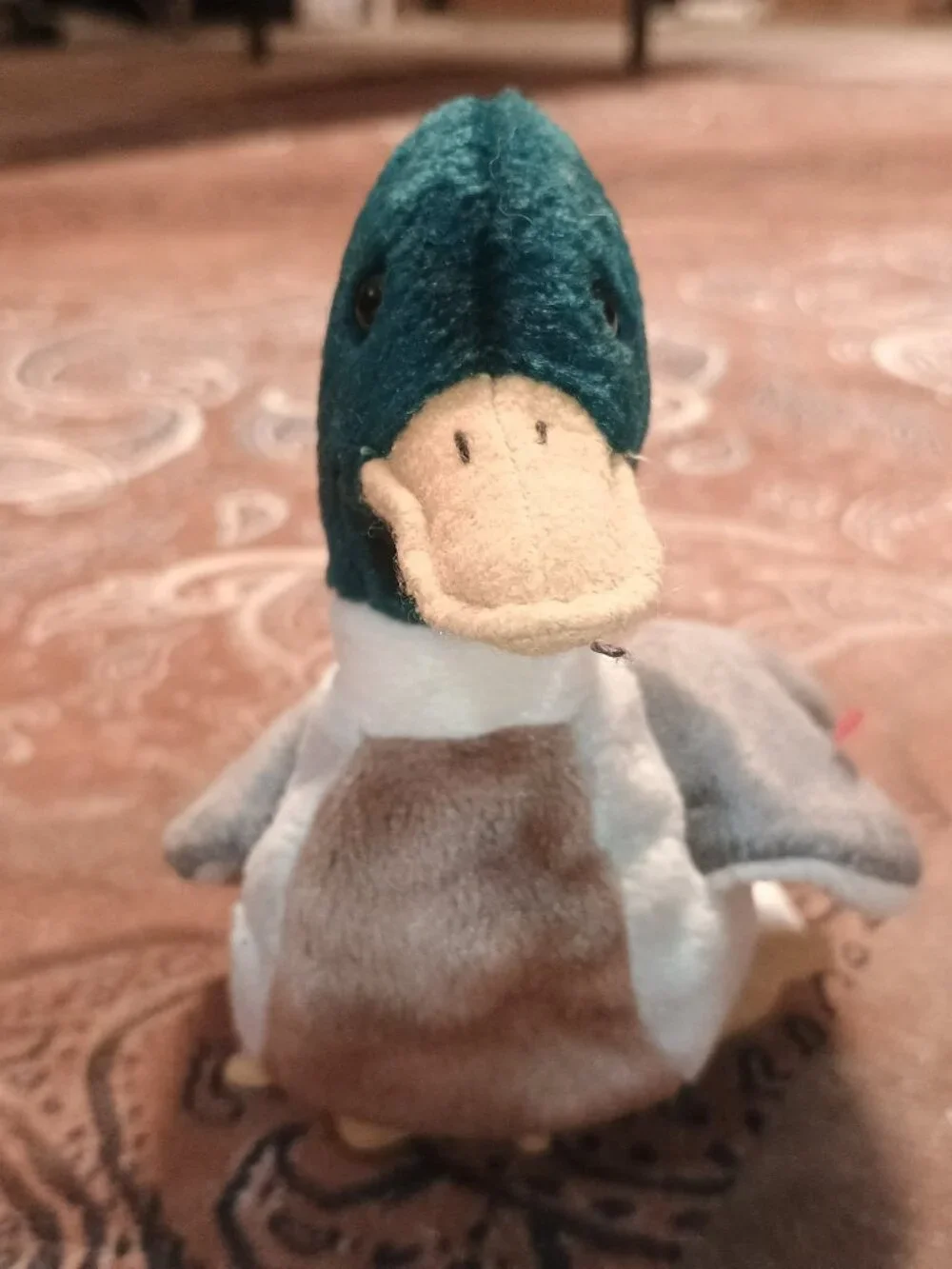 Ty Beanie Babies Jake the Mallard Duck Plush